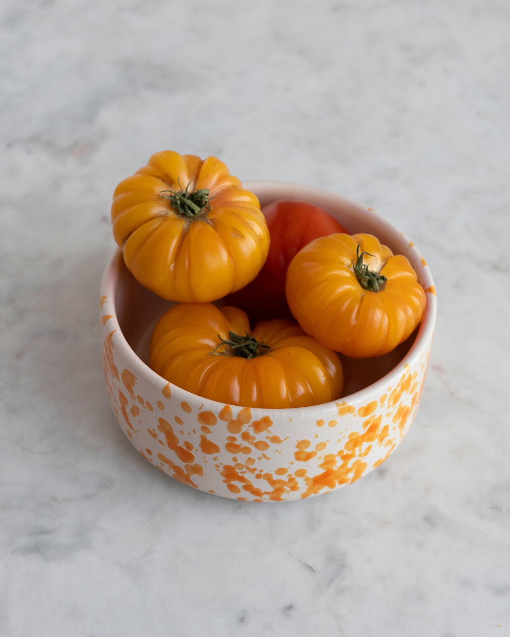 Bowl «CAMPO»
