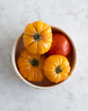 Bowl «SOLE»